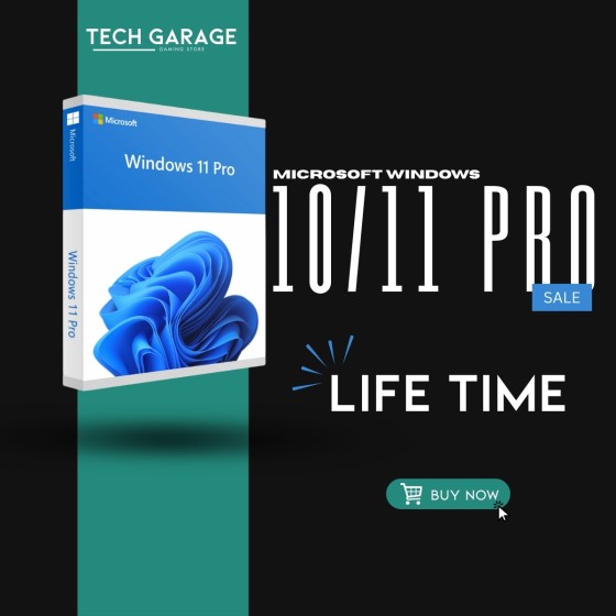 Windows 10/11 Professional Key