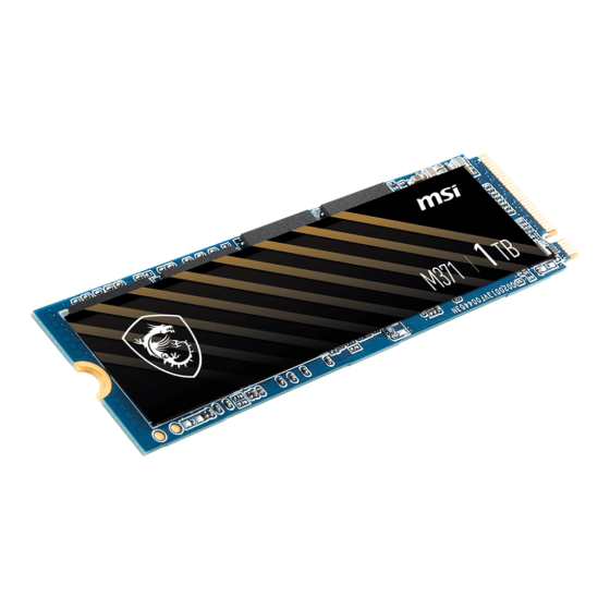 MSI SPATIUM M371 1TB