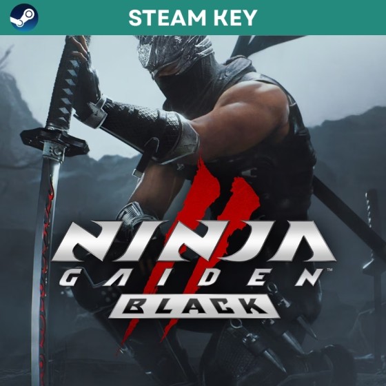 NINJA GAIDEN 2 Black Stam key