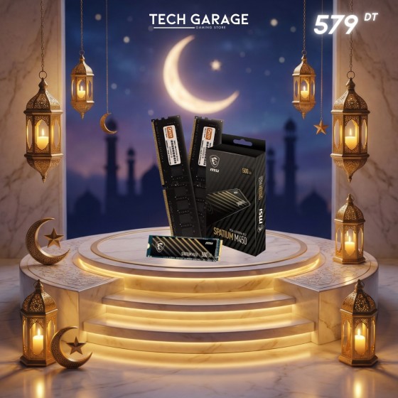 Dato 16Go DDR4 3200 MHZ + MSI SPATIUM M450 PCIe 4.0 NVMe M.2 500 Go