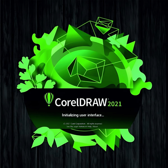 CorelDRAW 2021 Standard (1...